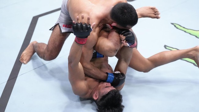 Beragam Reaksi Netizen Terhadap Kekalahan Jeka Saragih di UFC