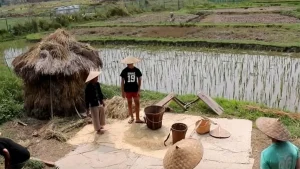 kamboja-menghadapi-tantangan-dalam-pengelolaan-sumber-daya-alam